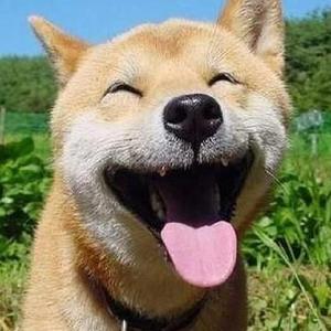 偷窥wc女厕6843494
