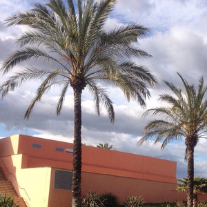 偷窥wc女厕6843494
